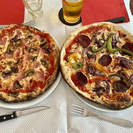 Mini-wood Doué-la-Fontaine